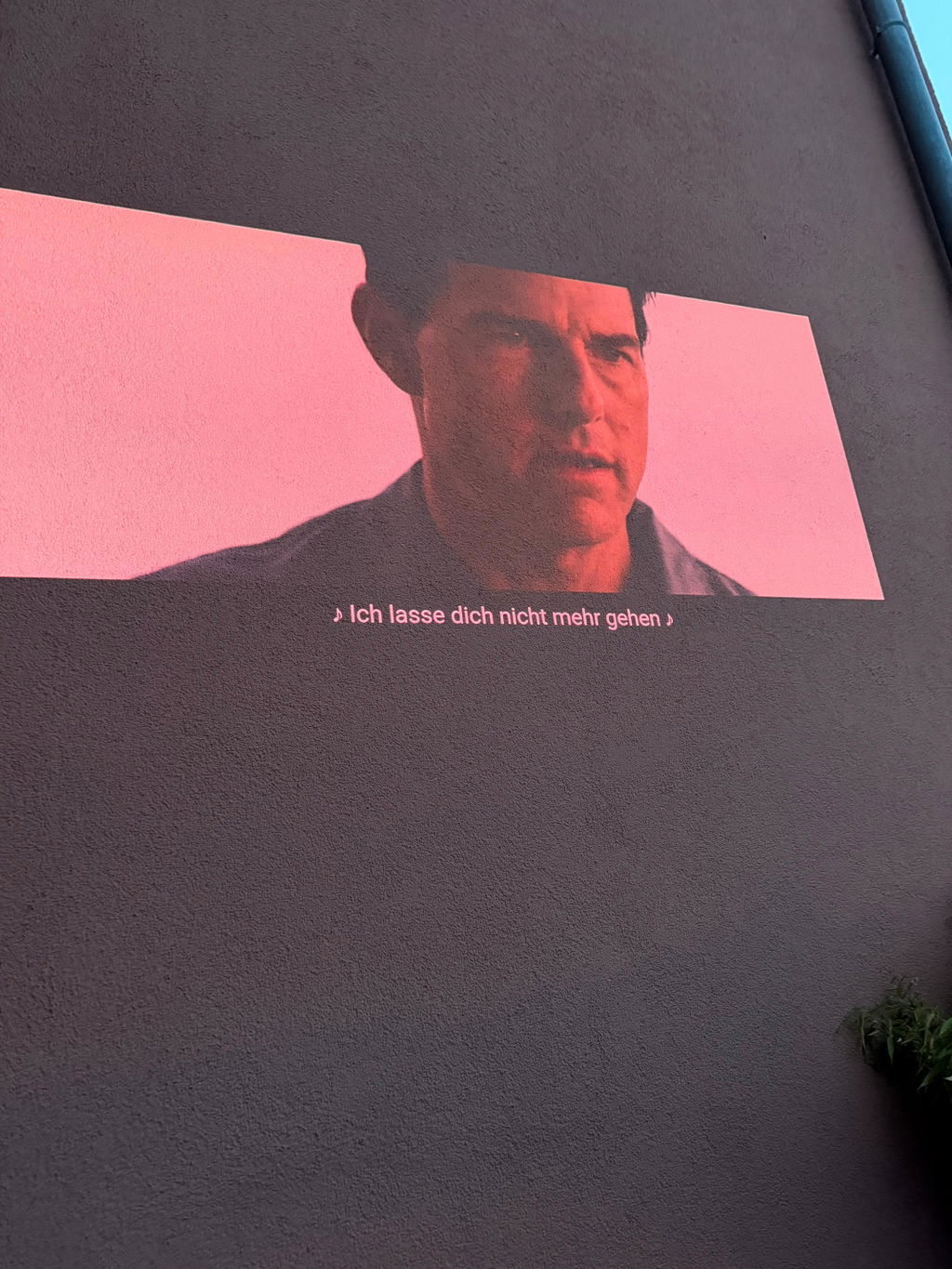 Kino unter Sternen, einfach genial